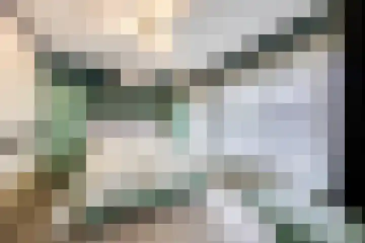Kalanderstraat 19 Geldrop thumbnail 19
