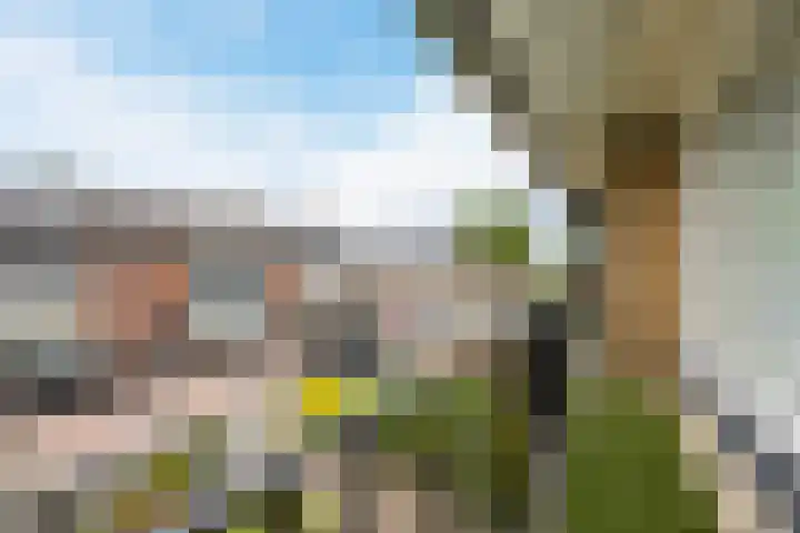 Kalanderstraat 19 Geldrop thumbnail 21