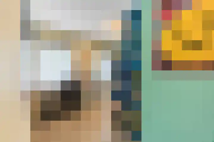 Kalanderstraat 19 Geldrop thumbnail 23