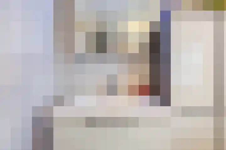 Kalanderstraat 19 Geldrop thumbnail 31
