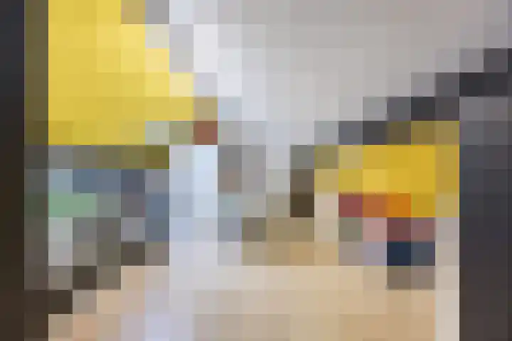 Kalanderstraat 19 Geldrop thumbnail 32