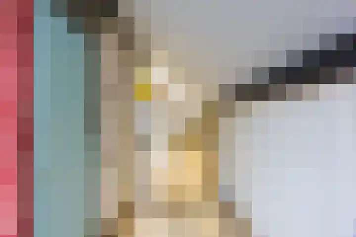Kalanderstraat 19 Geldrop thumbnail 34
