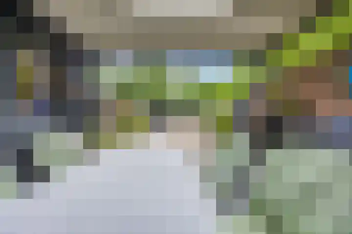Kalanderstraat 19 Geldrop thumbnail 37