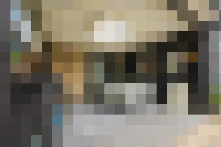 Kalanderstraat 19 Geldrop thumbnail 38