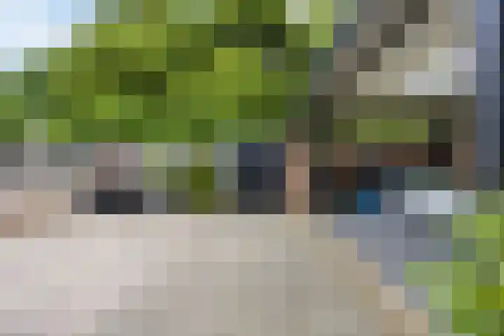 Kalanderstraat 19 Geldrop thumbnail 39