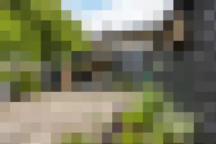 Kalanderstraat 19 Geldrop thumbnail 42