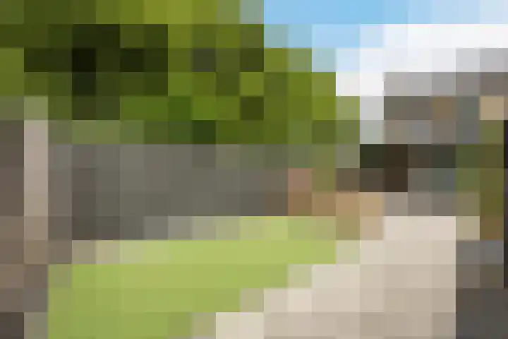 Kalanderstraat 19 Geldrop thumbnail 43