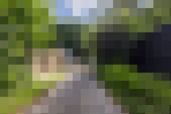 Kalanderstraat 19 Geldrop thumbnail 46