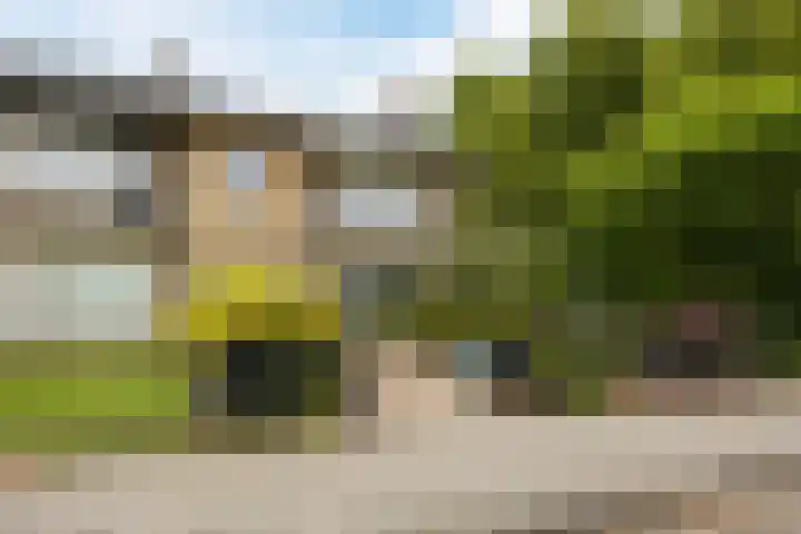 Kalanderstraat 19 Geldrop thumbnail 47