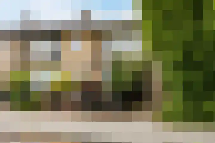 Kalanderstraat 19 Geldrop thumbnail 48