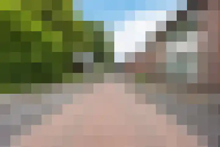 Kalanderstraat 19 Geldrop thumbnail 49