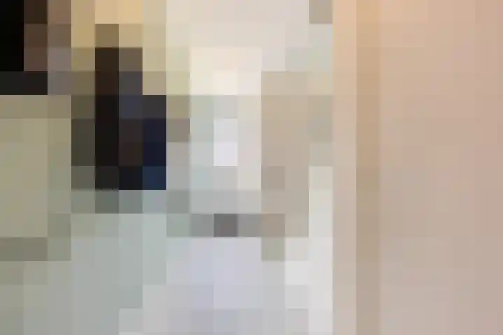 Kalanderstraat 19 Geldrop thumbnail 6
