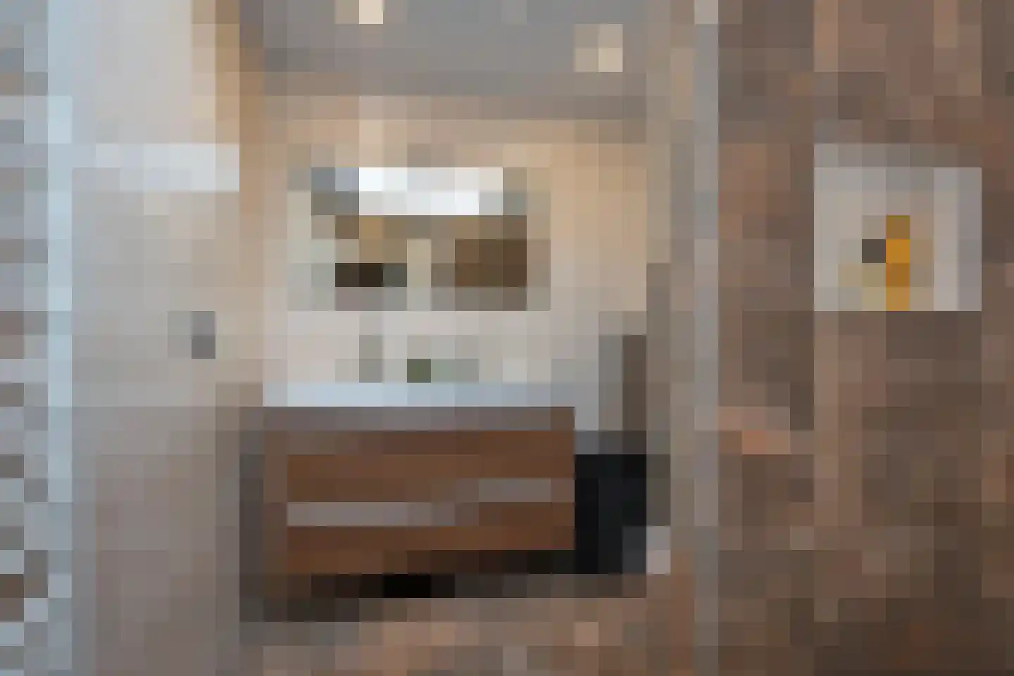 Kalanderstraat 23 Rijssen thumbnail 17