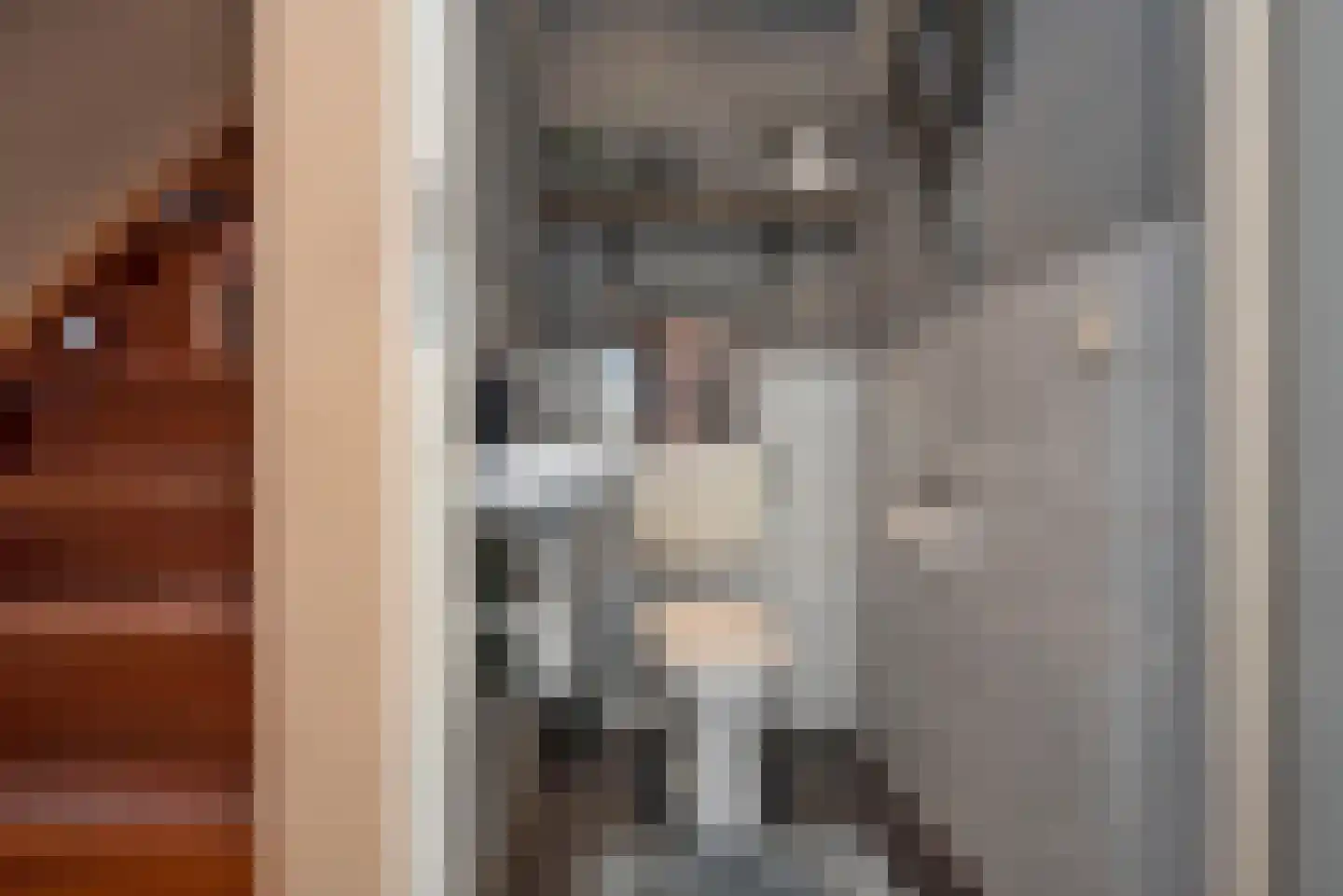 Kalanderstraat 23 Rijssen thumbnail 19