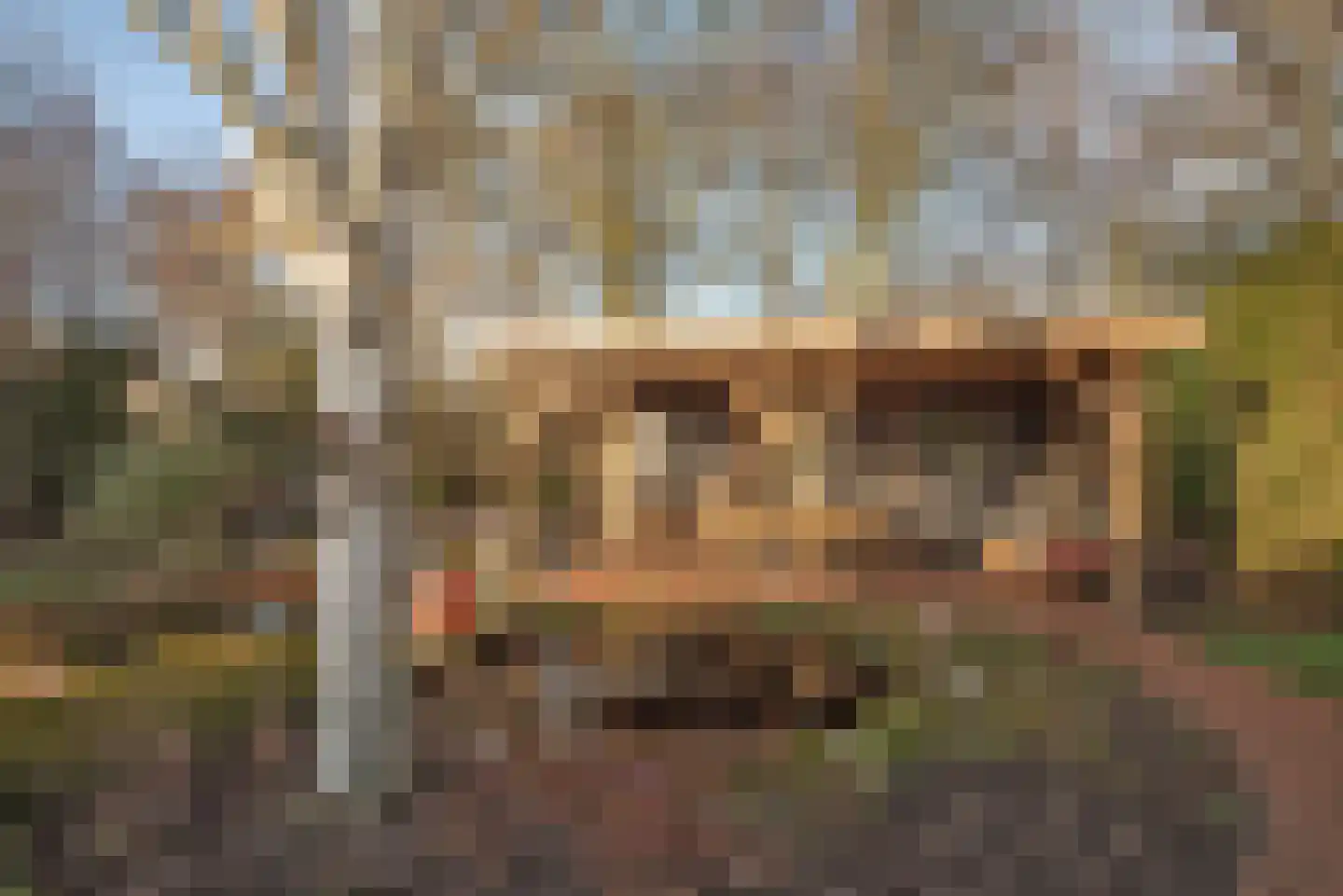 Kalanderstraat 23 Rijssen thumbnail 32