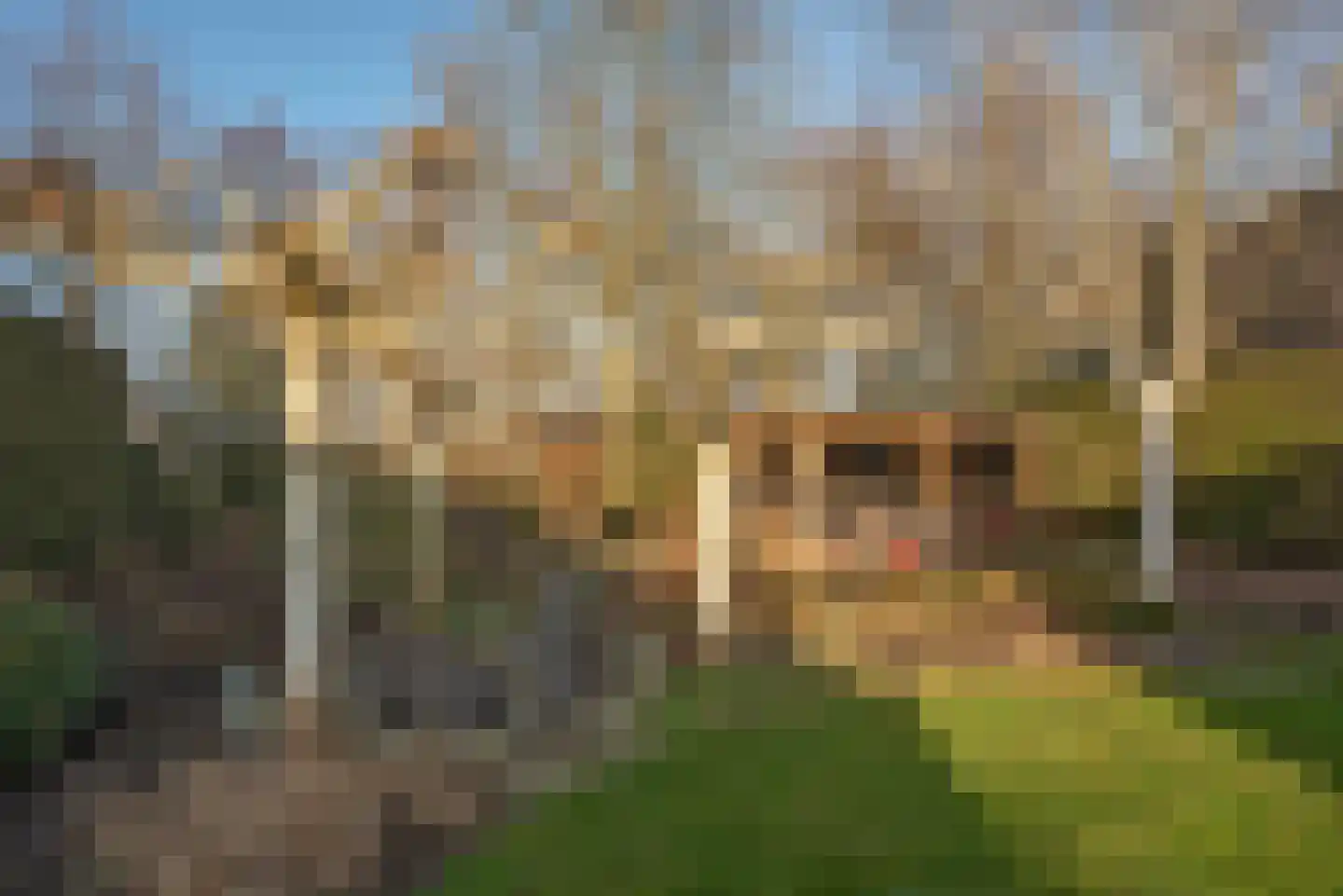 Kalanderstraat 23 Rijssen thumbnail 33