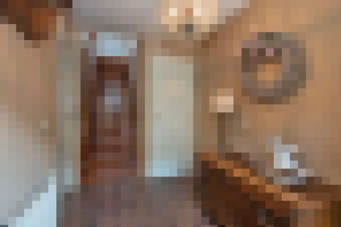 Kalanderstraat 23 Rijssen thumbnail 8