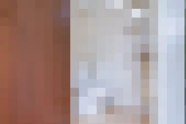 Kalanderstraat 3 Borne thumbnail 21