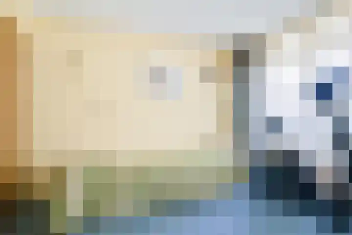 Kalanderstraat 3 Borne thumbnail 27