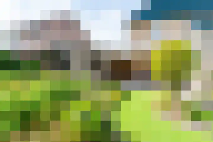 Kalanderstraat 3 Borne thumbnail 32