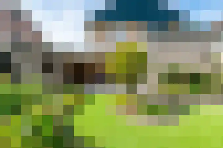 Kalanderstraat 3 Borne thumbnail 33
