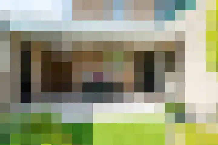 Kalanderstraat 3 Borne thumbnail 34