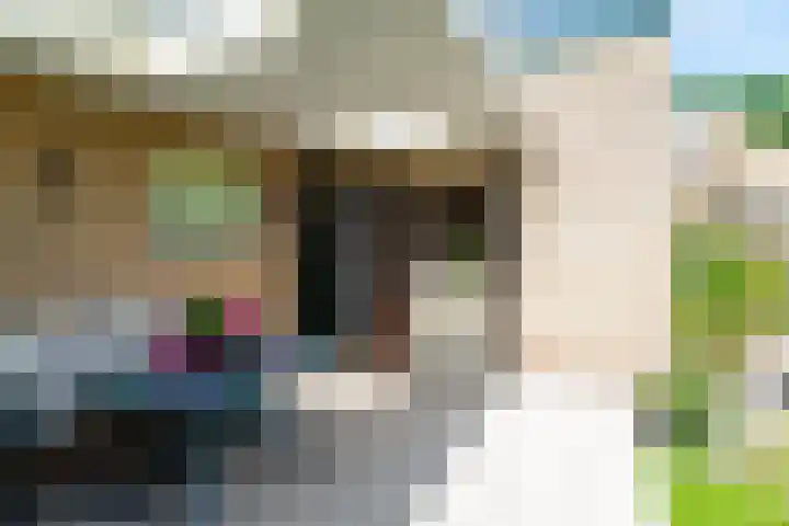 Kalanderstraat 3 Borne thumbnail 35