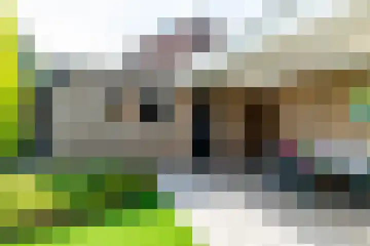 Kalanderstraat 3 Borne thumbnail 36