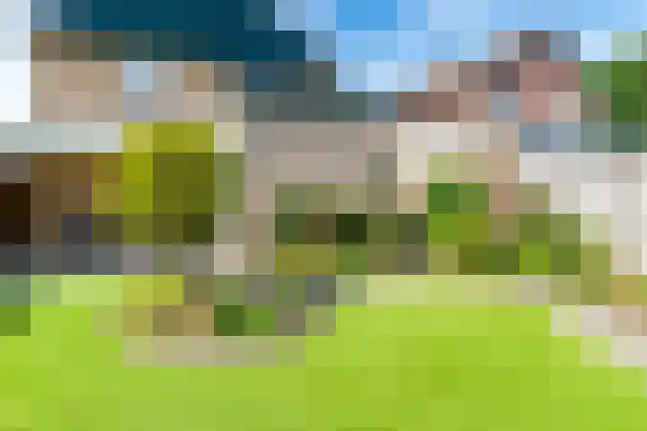 Kalanderstraat 3 Borne thumbnail 37