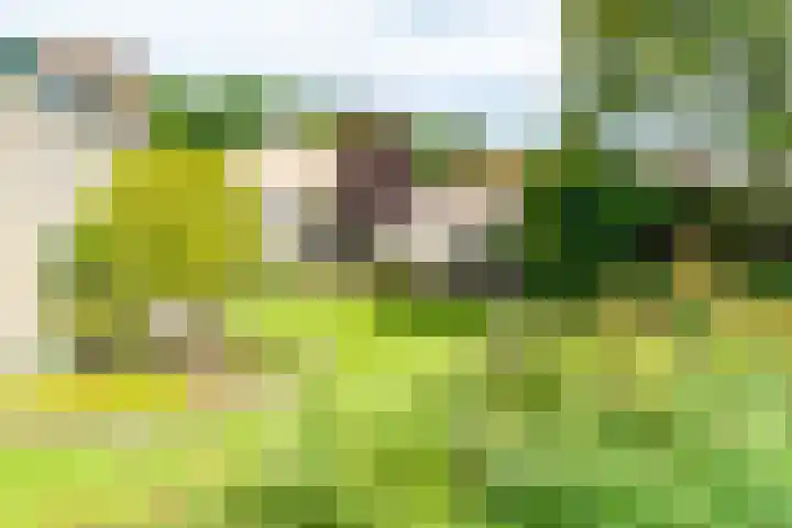 Kalanderstraat 3 Borne thumbnail 38