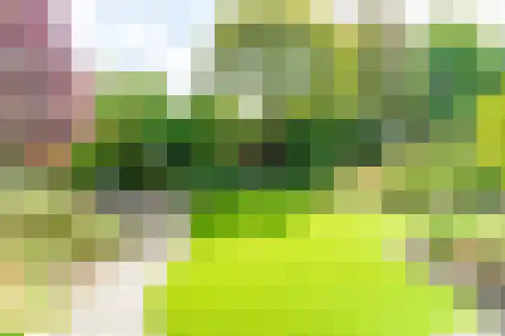 Kalanderstraat 3 Borne thumbnail 39