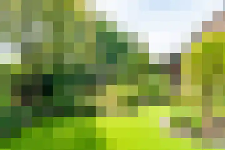 Kalanderstraat 3 Borne thumbnail 41