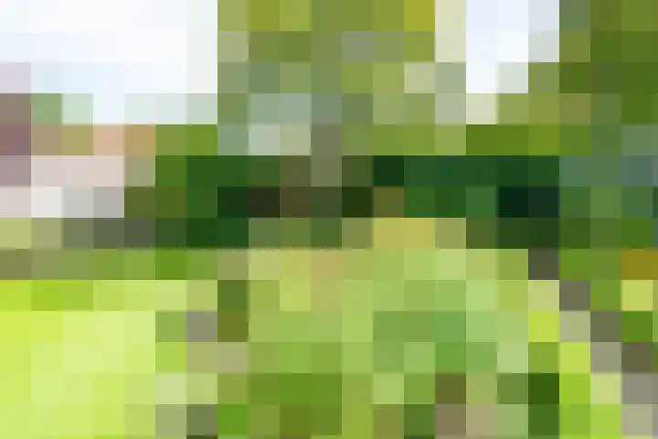 Kalanderstraat 3 Borne thumbnail 42