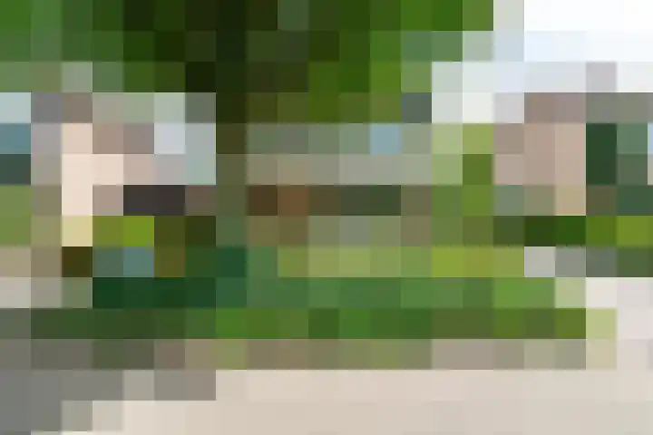Kalanderstraat 3 Borne thumbnail 43