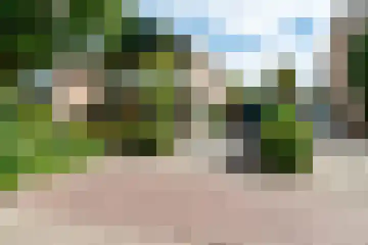 Kalanderstraat 3 Borne thumbnail 44