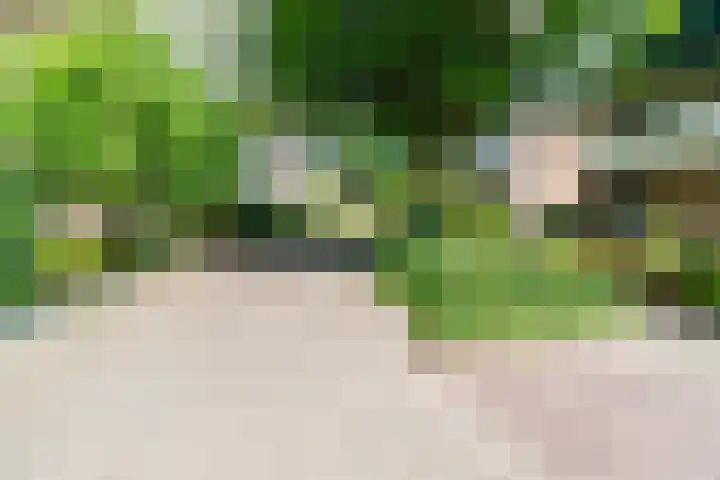 Kalanderstraat 3 Borne thumbnail 46