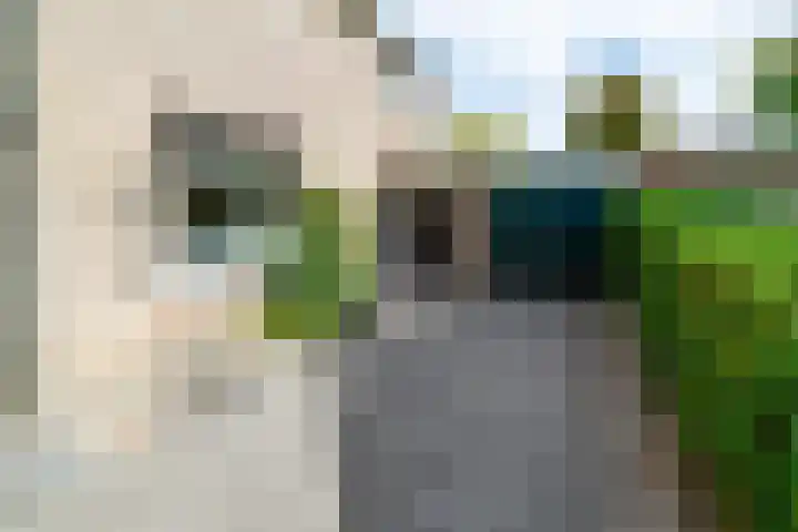 Kalanderstraat 3 Borne thumbnail 6