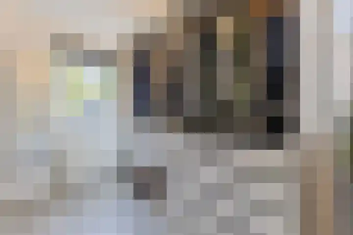Kalanderstraat 7 D Geldrop thumbnail 21