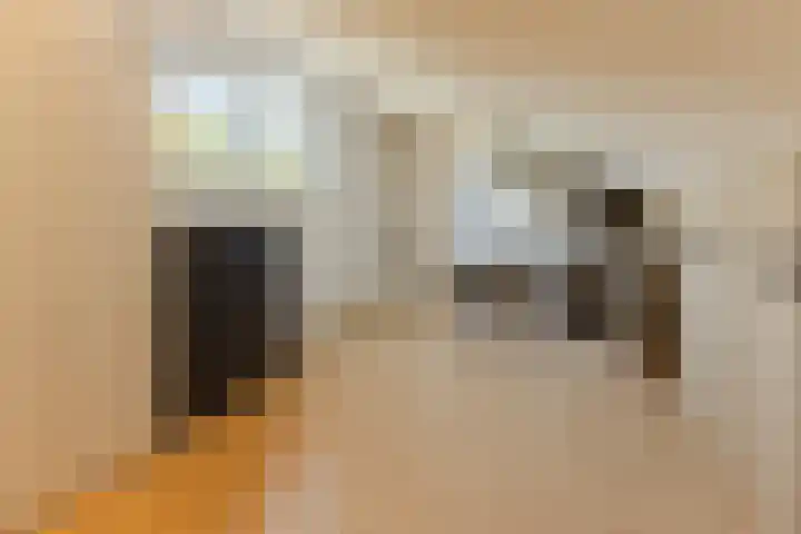 Kalanderstraat 7 D Geldrop thumbnail 24