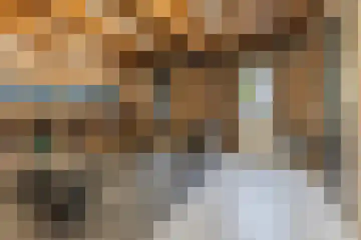 Kalanderstraat 7 D Geldrop thumbnail 29