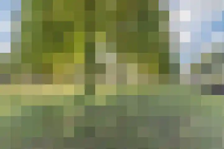 Kalanderstraat 7 D Geldrop thumbnail 31