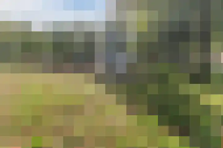 Kalanderstraat 7 D Geldrop thumbnail 32