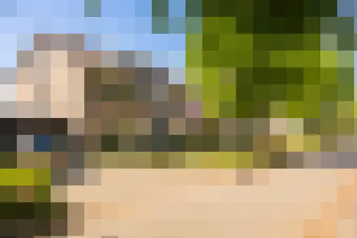 Kalanderstraat 8 Borne thumbnail 10