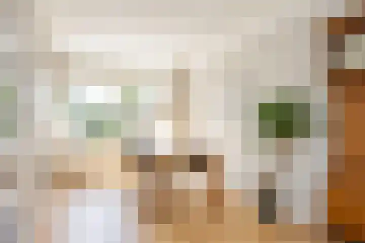Kalanderstraat 8 Borne thumbnail 16