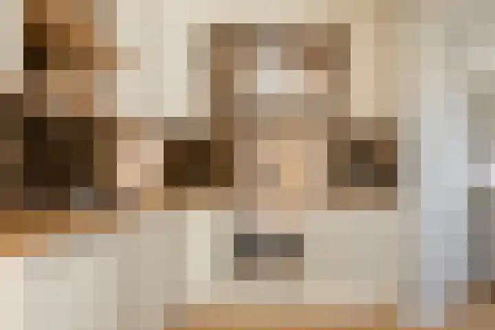 Kalanderstraat 8 Borne thumbnail 17