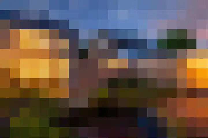 Kalanderstraat 8 Borne thumbnail 28