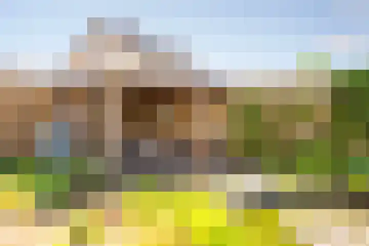 Kalanderstraat 8 Borne thumbnail 33