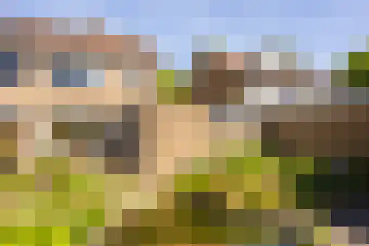 Kalanderstraat 8 Borne thumbnail 35