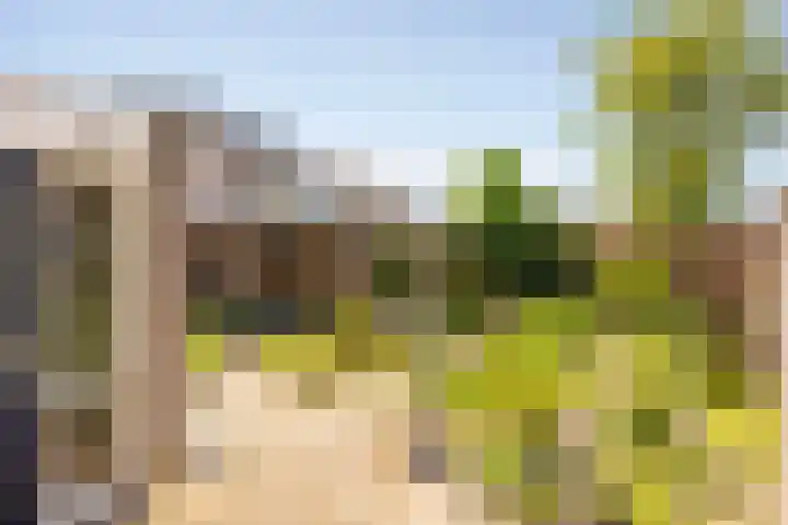 Kalanderstraat 8 Borne thumbnail 37