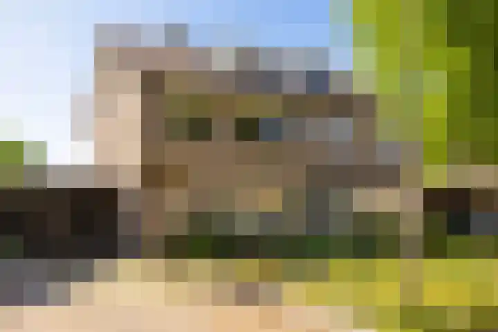 Kalanderstraat 8 Borne thumbnail 8